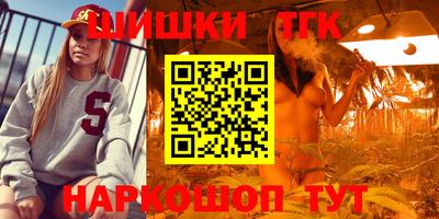 jwh Кингисепп
