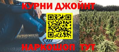 спиды Кимры
