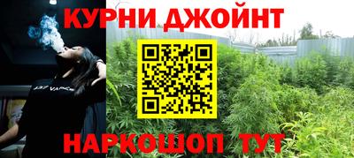 jwh Кингисепп