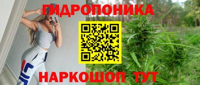 jwh Кингисепп