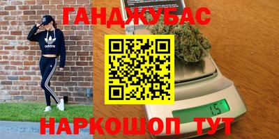 jwh Кингисепп