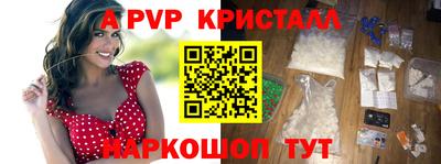 jwh Кингисепп