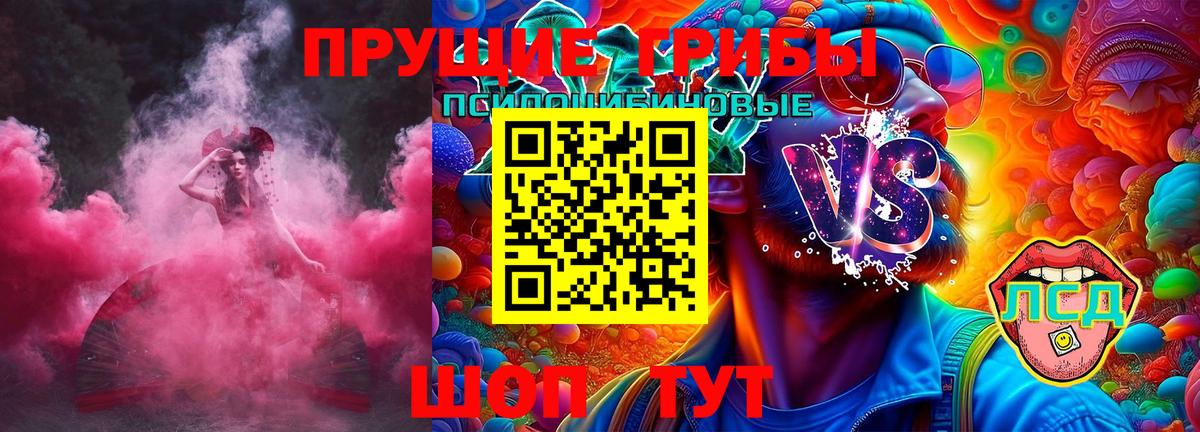 Псилоцибиновые грибы Cubensis  Вход с VPN  что такое   Красногорск 